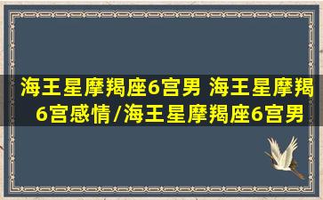 海王星摩羯座6宫男 海王星摩羯6宫感情/海王星摩羯座6宫男 海王星摩羯6宫感情-我的网站